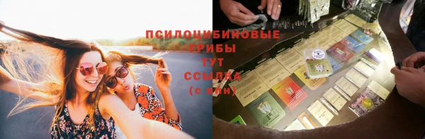 spice Абинск