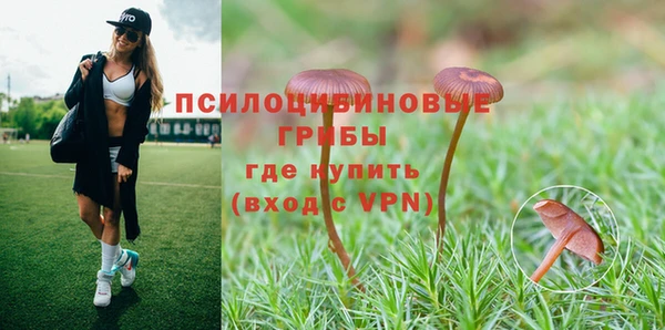 ALPHA PVP Абдулино