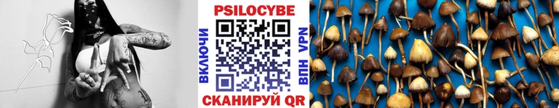 где продают наркотики  Псков  blacksprut ссылка  Галлюциногенные грибы ЛСД 