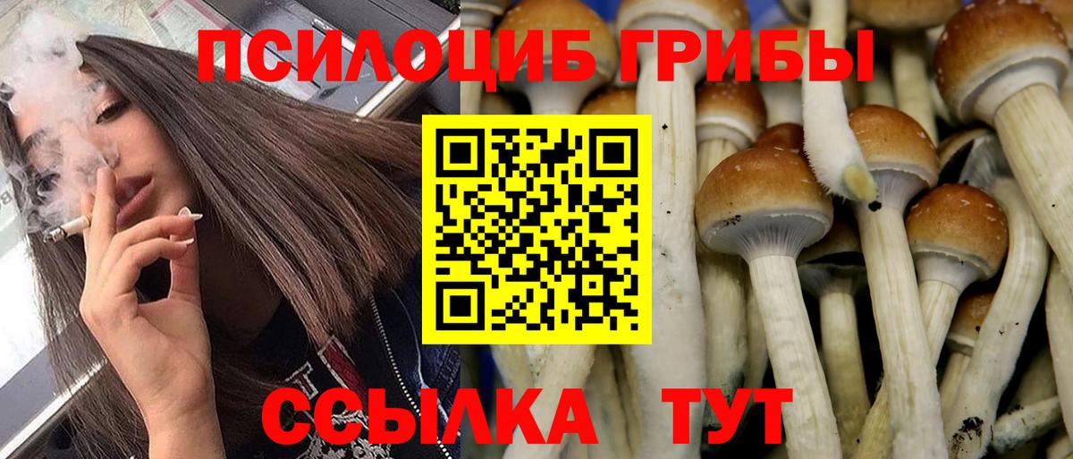 Галлюциногенные грибы GOLDEN TEACHER Псков