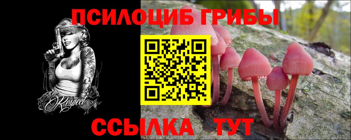 Псилоцибиновые грибы мухоморы  даркнет сайт  Псков  Вход с VPN 